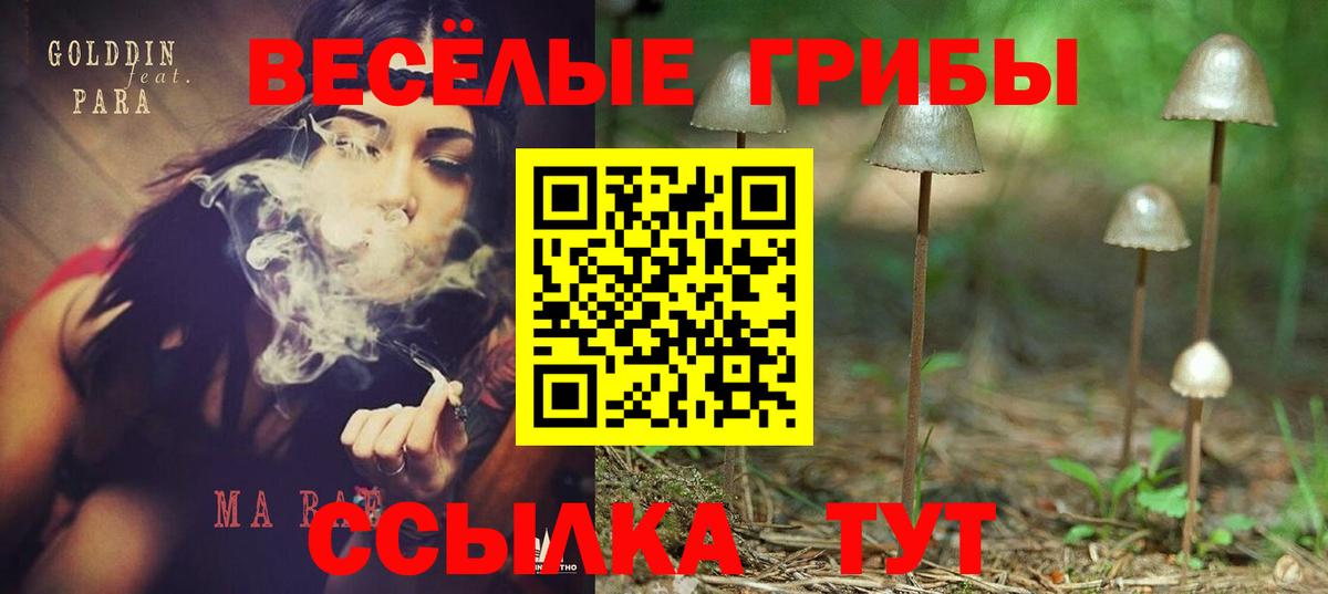Галлюциногенные грибы ЛСД  Галлюциногенные грибы Psilocybine cubensis  Вход с VPN  Юрга 